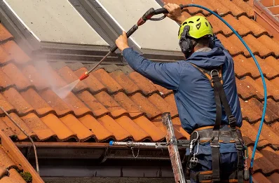 Démoussage et hydrofuge de toiture à Drom
